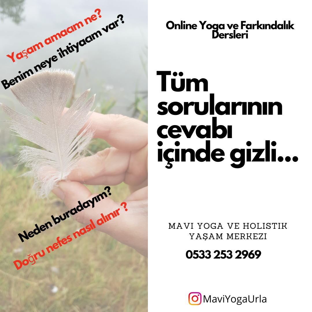 Mavi Yoga Urla Yoga Hakknda