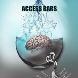 Access Bars